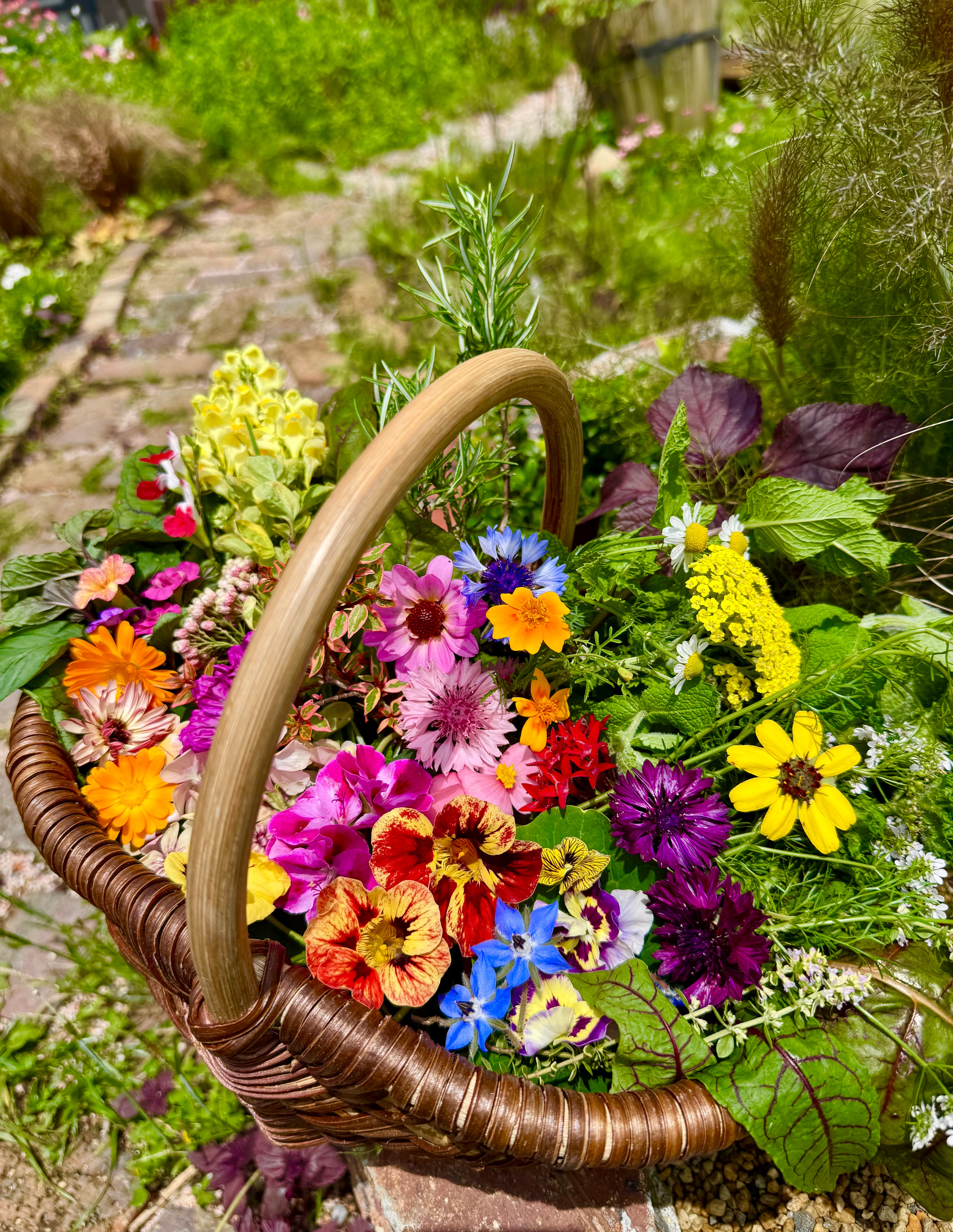 エディブルフラワー・ハーブ園＃勝浦herbe – katsuura-herbe