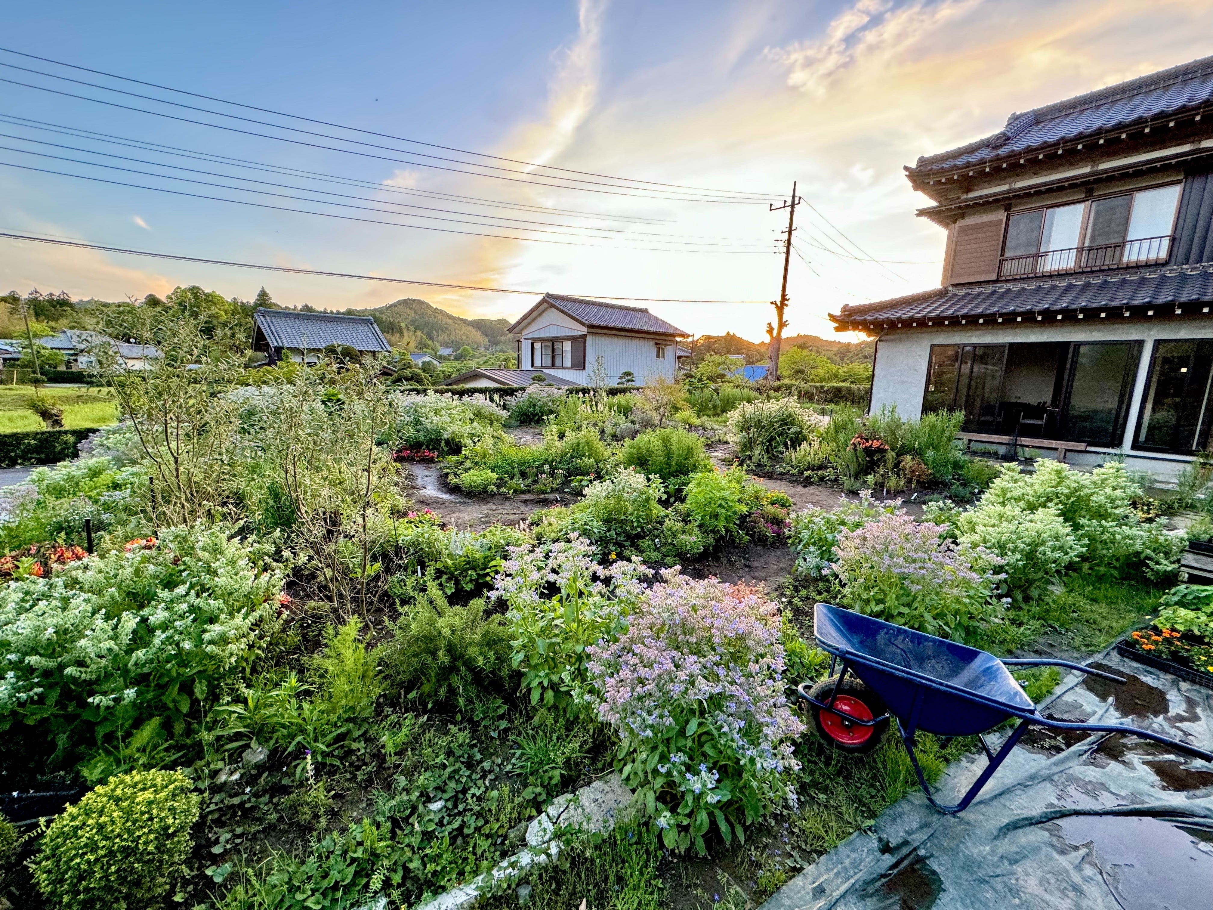 S__8364046_0.jpg?v=1750054800&